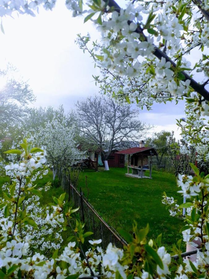 Hotel Casa Stely Rîşnov Esterno foto